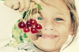 Вишня Осенняя Вировская купить по цене от 310.00р. в интернет-магазине «Посадика» с доставкой почтой в в Москве и по всей России – [изображение №1].